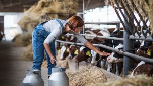 Presença feminina no agro ganha ainda mais força com trabalhos da comissão das mulheres da CNA