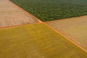 Comissão de Agricultura marca data para análise do Marco Temporal