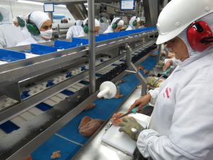 Japão suspende compra da carne de frango do estado do Espírito Santo