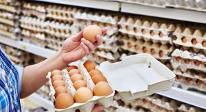 Da Prateleira à Mesa, como escolher ovos no supermercado