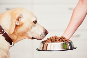 Mapa determina recolhimento de produtos para alimentação animal da empresa Prestige Ltda