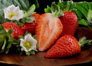 Nova cultivar de morangueiro permite plantio antecipado e produção por até sete meses