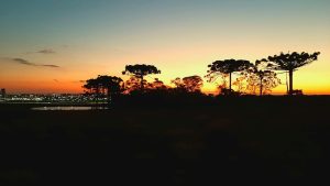 Fim de semana será de tempo seco em todo o Paraná