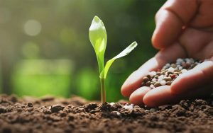 Paraná terá debate sobre política sobre biodiversidade