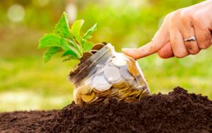 Bioeconomia das plantas medicinais para agricultores é tema de curso