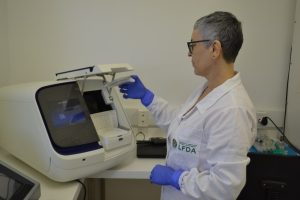 Laboratório brasileiro é aprovado para detectar gripe aviária