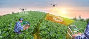 Evento irá discutir o uso de tecnologias digitais no setor de horticultura