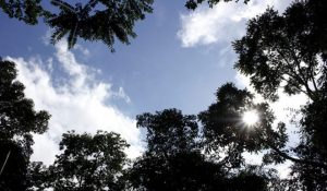 Quarta-feira de tempo estável na maioria do Paraná