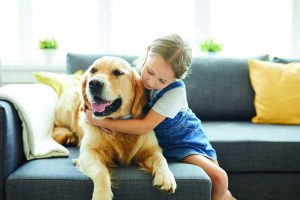 Casos de leishmaniose em humanos aumentam 8% em 2022