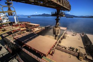 Exportação de soja em maio pelo Porto de Paranaguá é maior da história