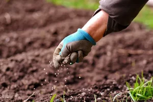 Reunião debate desafios do país para aumentar produção de fertilizantes
