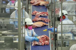 Exportações impactam preços das proteínas animais no mercado interno