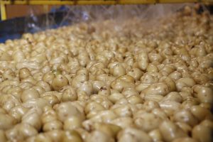 Inflação nos preços de alimentos registra desaceleração em maio no Paraná