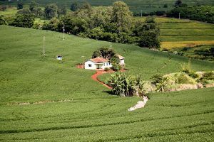 Nova tecnologia trará velocidade e ampliará eficiência dos cadastros de imóveis rurais do Paraná