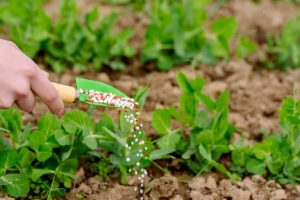Sedec apresenta alternativas para produção de fertilizantes