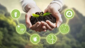 Produtores têm incentivo para adoção de práticas sustentáveis