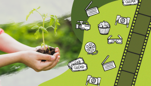 Atividades práticas movimentam semana do meio ambiente na embrapa mandioca e fruticultura