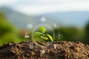 Descarte correto de efluentes é crucial para sustentabilidade do agronegócio