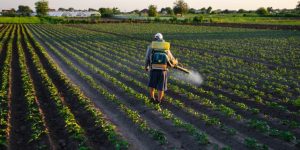 Produtor rural vai contar com 13 novos produtos no controle de pragas