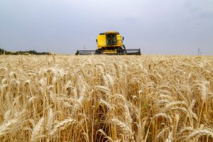 Será que vai? Plano da Argentina é zerar impostos sobre exportações agrícolas