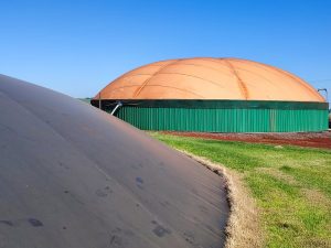 Paraná quer ampliar adesão de produtores rurais em geração própria de energia