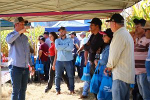 Dia de campo de Milho Safrinha é realizado pela C.Vale