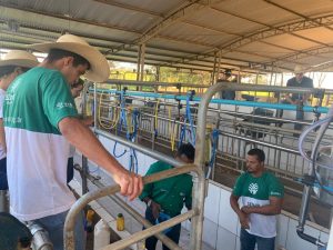 Bovinocultores investem em conhecimento sobre ordenha mecanizada para melhorar produção