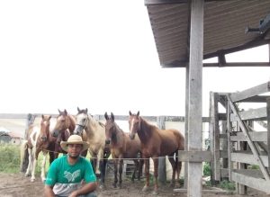Trabalhador aumenta produtividade na doma de equinos após capacitações
