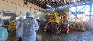 Força-tarefa fiscaliza 22 estabelecimentos de bebidas e fecha quatro empresas
