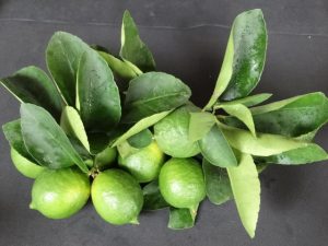 Preço do limão está em alta nos mercados internos e externos