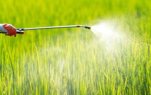 Produtores rurais vão contar com 30 novos defensivos agrícolas