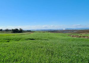 Período atípico: inverno com temperaturas elevadas no Paraná