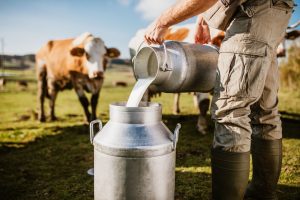 Autoridades debatem importações de lácteos e Plano Agrícola e Pecuário