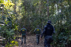 Mato Grosso contra o crime ambiental: foram mais de R$ 900 milhões em multas por ilegalidades