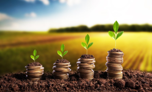Aplicação do crédito rural da safra 2022/2023 somou R$ 344 bilhões