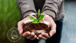 Plano de ação visa a sustentabilidade das atividades na agropecuária