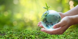 Agricultura sustentável brasileira é apresentada em países asiáticos