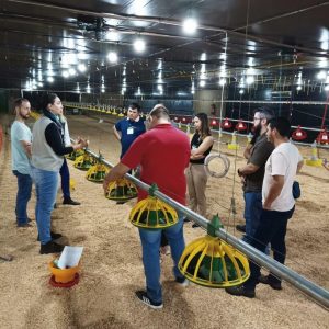 Capacitação aumenta bons resultados na produção de frangos