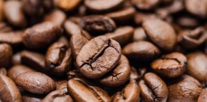 Embrapa oferece curso de poda do cafeeiro arábica