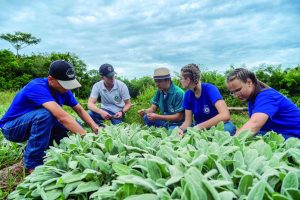 Colégios agrícolas recebem incentivo de pesquisa científica por meio do Agrinho