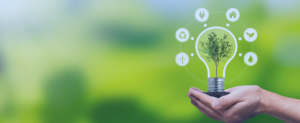 Entenda a importância do cooperativismo para o desenvolvimento sustentável