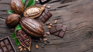 No dia mundial do chocolate, o agro brasileiro se destaca na produção de cacau