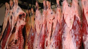 Em seis meses, exportação de carne bovina chega ao 2º maior resultado da história brasileira