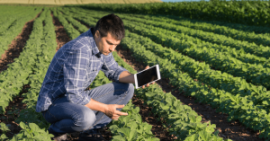 Agronegócio investe em videomonitoramento para melhor desempenho e segurança