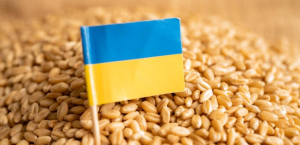 Após ataques russos, rotas alternativas devem ser solução para escoar grãos da Ucrânia