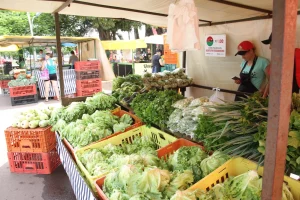 Feira do Pequeno Produtor tem novo horário de atendimento em Cascavel