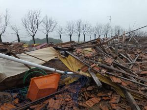 Ciclone causa destruição em diversas áreas rurais no RS