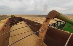 Paraná deve superar produção de grãos na safra 2022/23