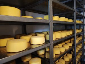 Primeiro queijo do Paraná livre de carbono é de Francisco Beltrão