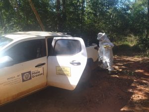 Morte de milhares de abelhas é investigada no MT